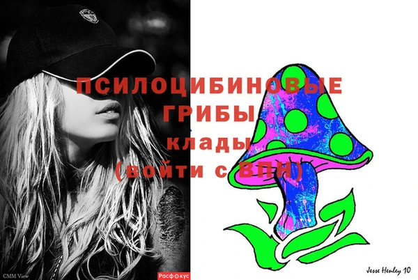 МДПВ Белокуриха