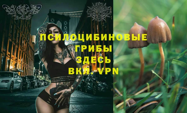 МДПВ Белокуриха
