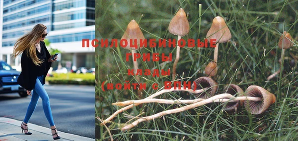 молекула духа Балабаново