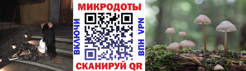 Галлюциногенные грибы Psilocybe  Покровск 
